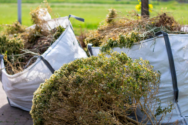 Best Junk Removal and Recycling  in Toledo, IA